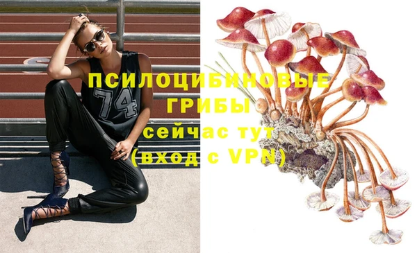 амфетамин Инсар