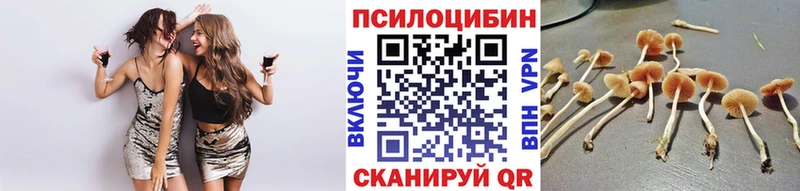 Купить  Железноводск  Псилоцибиновые грибы Psilocybine cubensis 